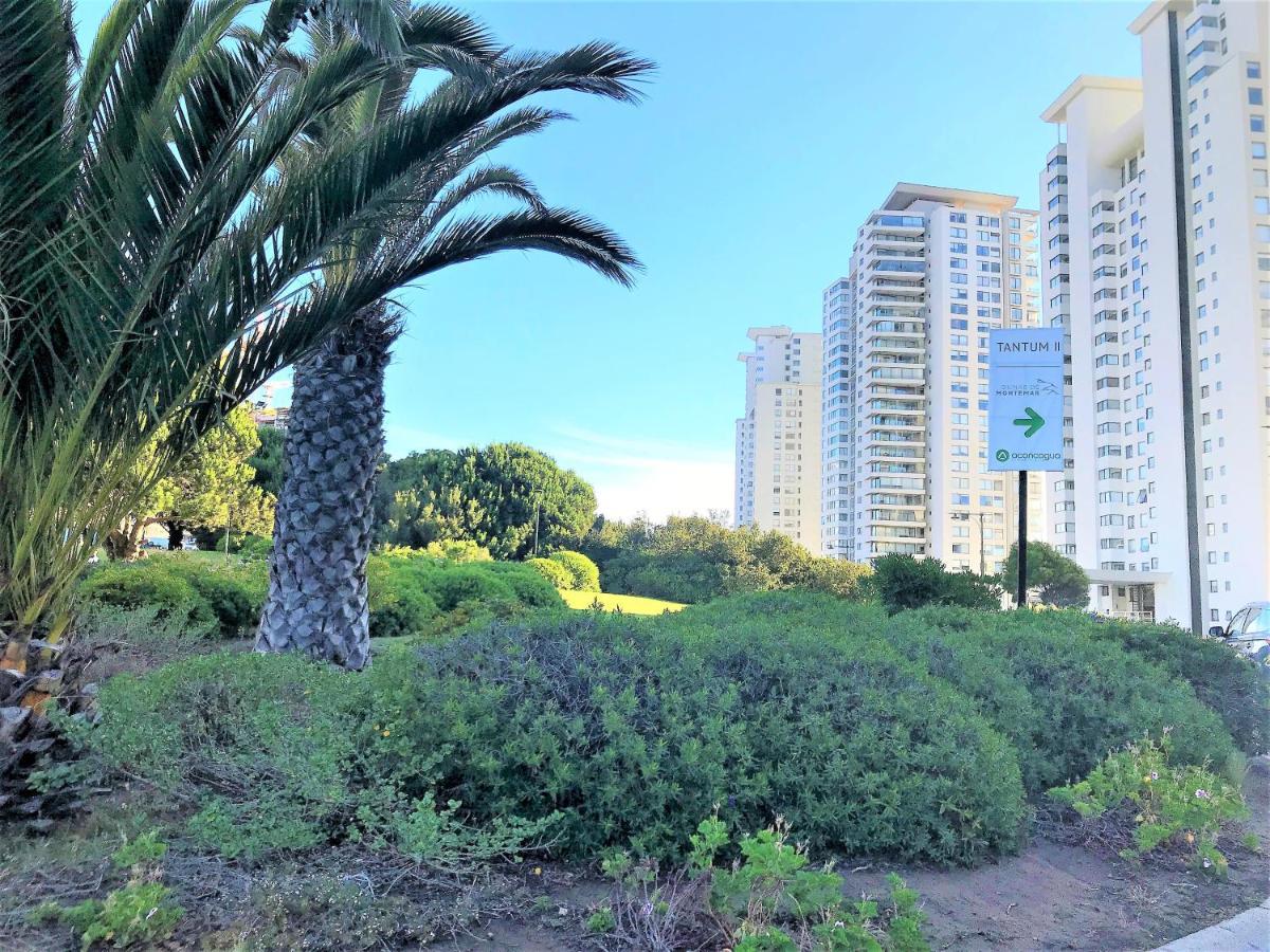 Apartamento Costa De Montemar Departamento, 3